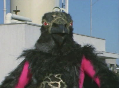 My Name Is Mysterious Birdman Gilgalass