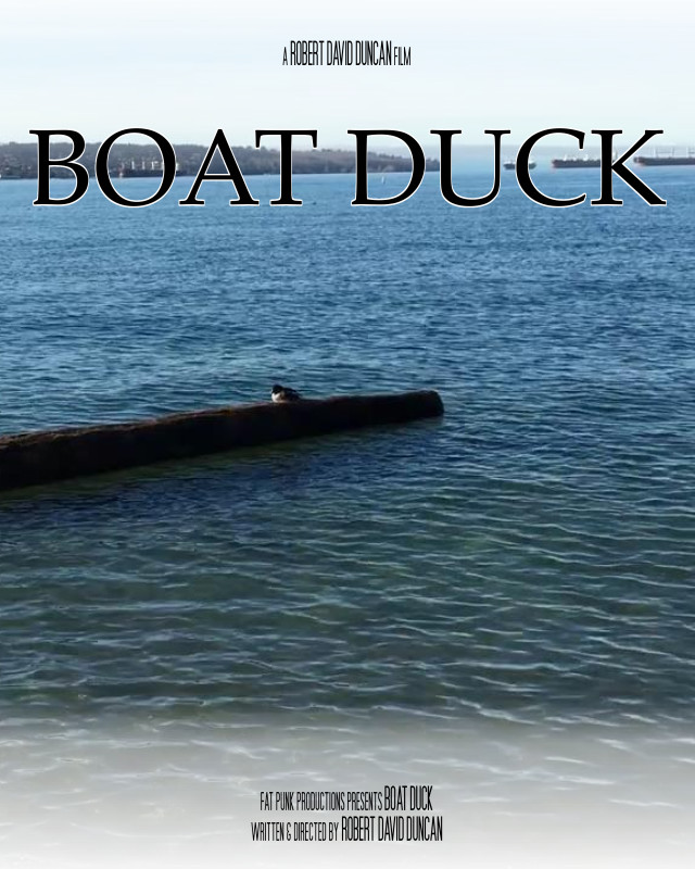 Boat Duck
