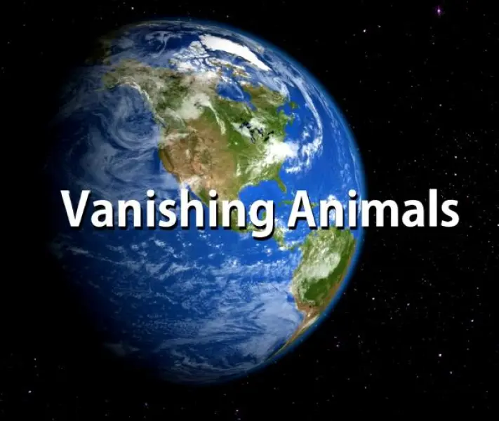 Vanishing Animals