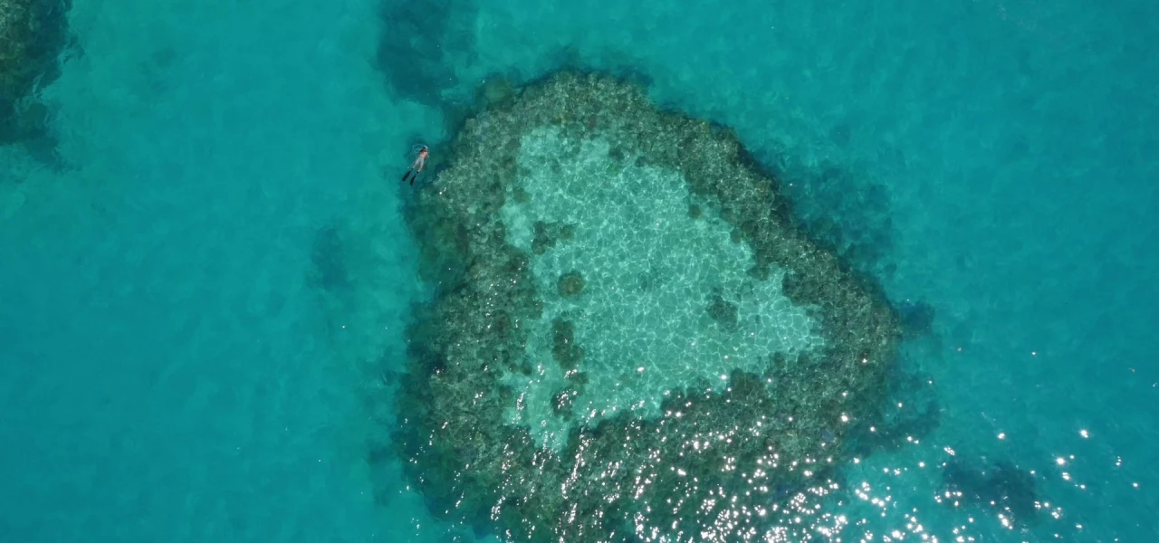 Great Barrier Reef 4K