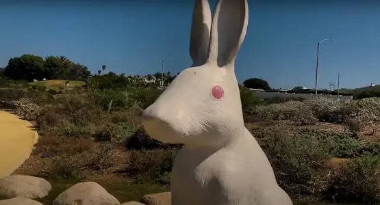 The Great Bunnyhenge Mystery