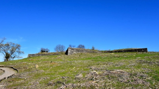 Fort Negley