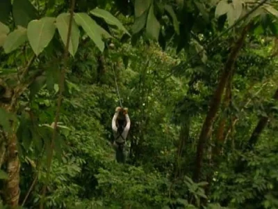 Watch Out, Costa Rica