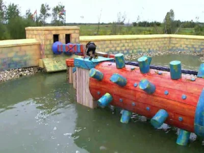 Splat of the Penguins