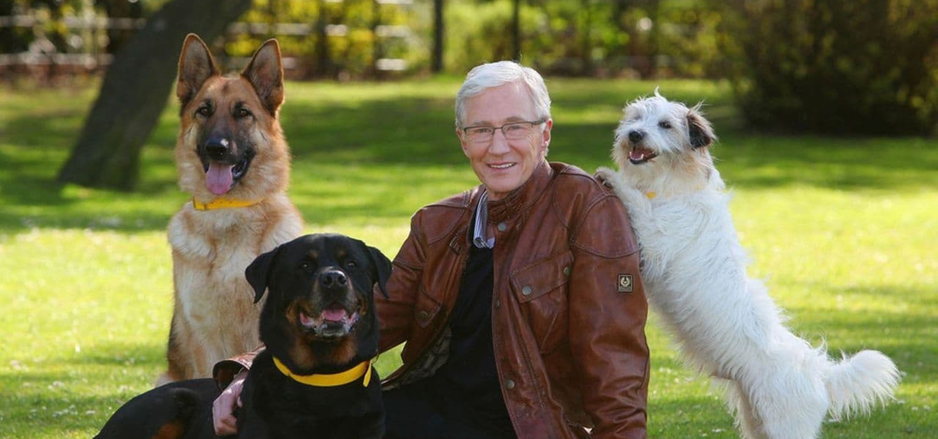 Paul O'Grady: For the Love of Dogs