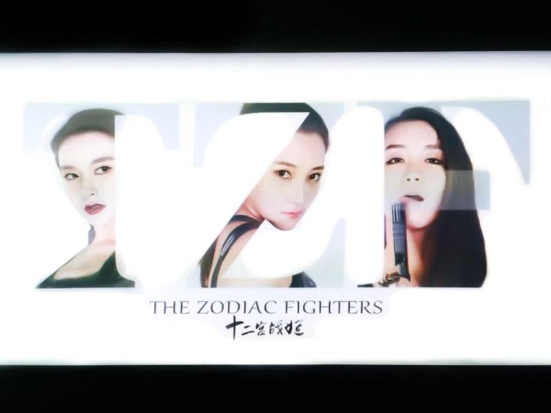 The Zodiac Fighters