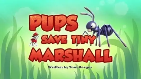 Sea Patrol: Pirate Pups to the Rescue