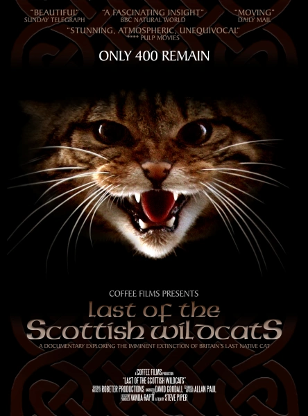 Last of the Scottish Wildcats