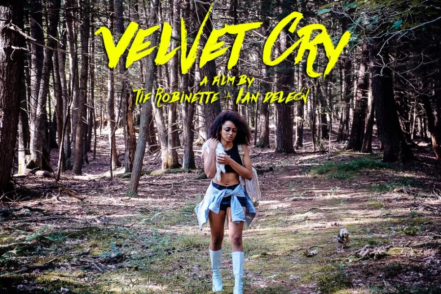 Velvet Cry