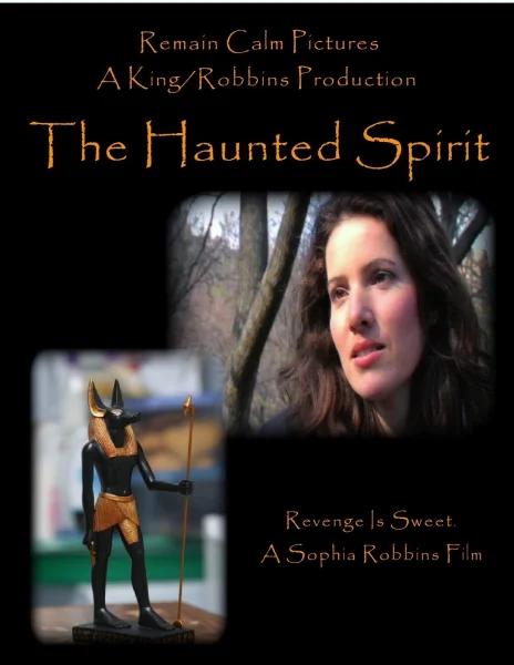The Haunted Spirit