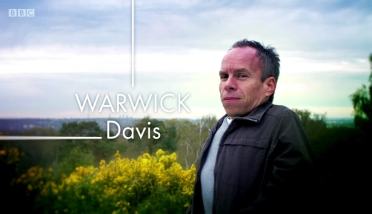 Warwick Davis