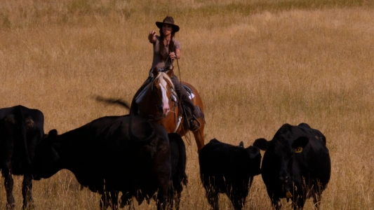 Sixty Three Ranch