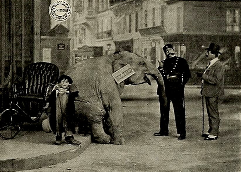 Tiny Tim and the Adventures of His Elephant