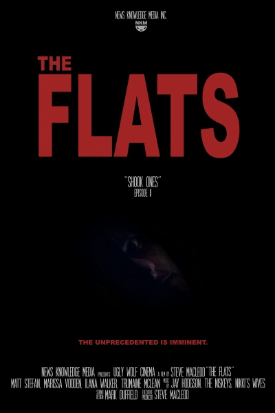 The Flats - Shook Ones