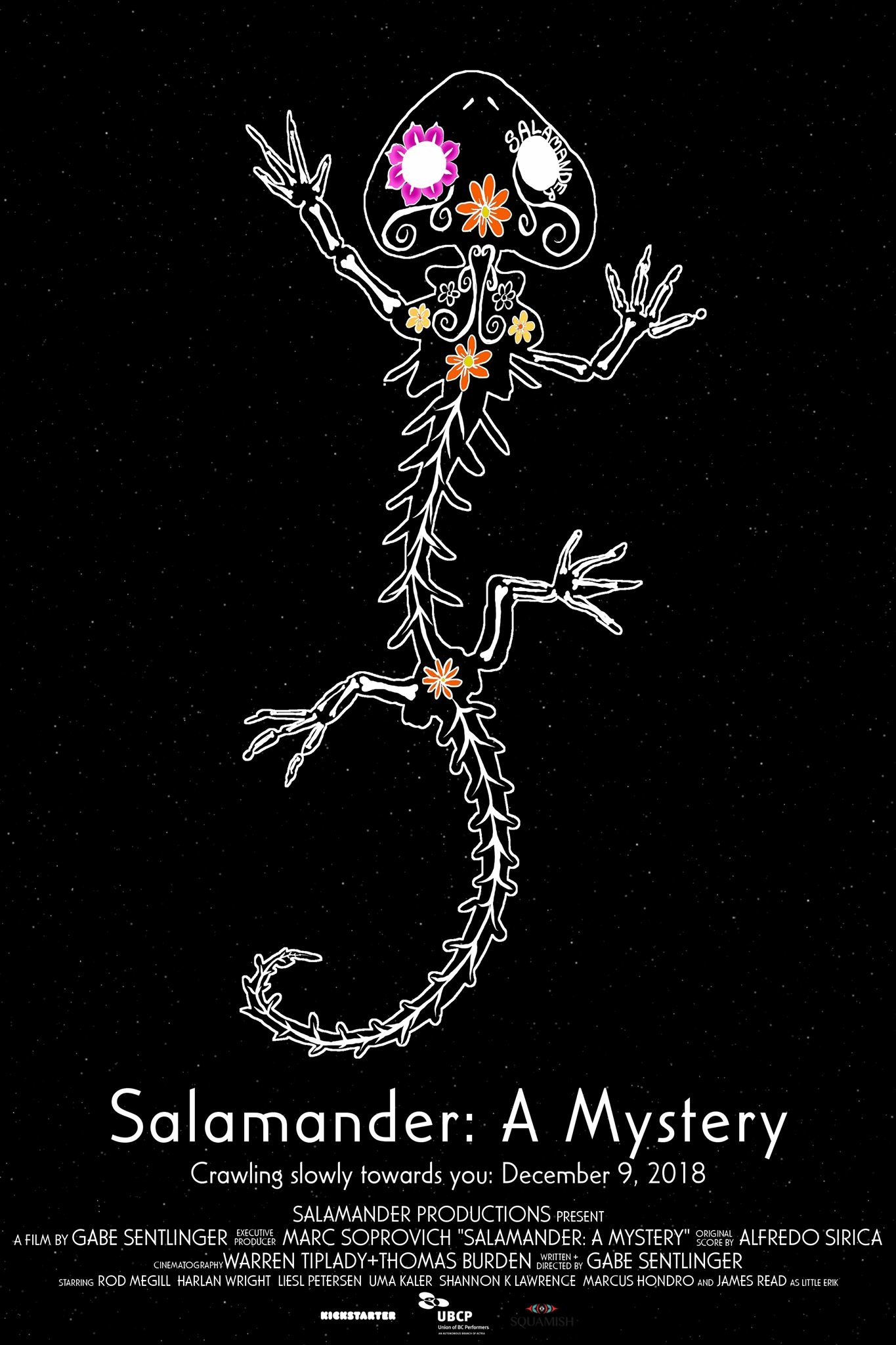 Salamander: A Mystery