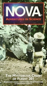 Mysterious Crash of Flight 201