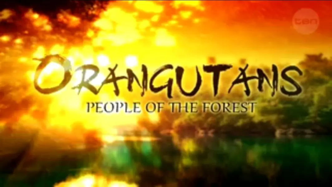 Orangutans: People of the Forest