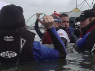 Dolphins in Danger