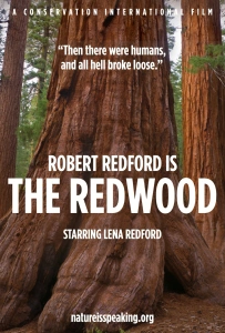 The Redwood