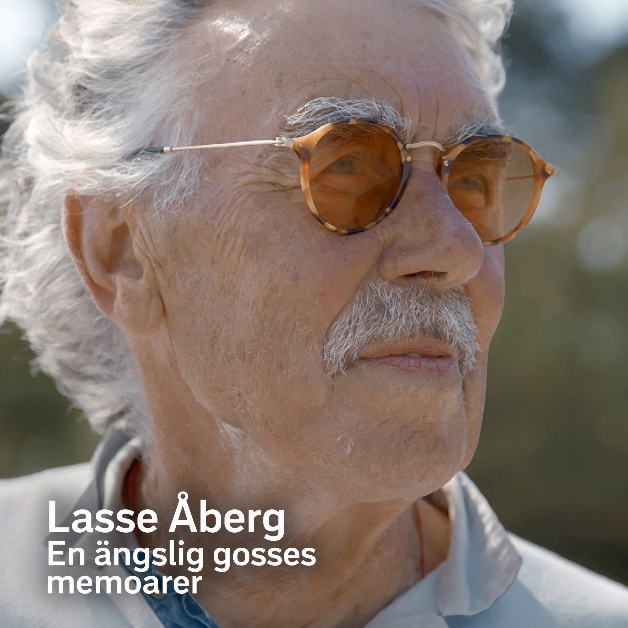 Lasse Åberg - En ängslig gosses memoarer