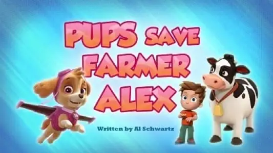 Pups Save the Runaway Turtles/Pups Save the Shivering Sheep