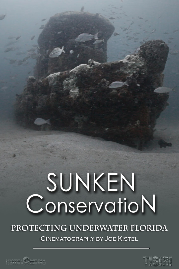 Sunken Conservation