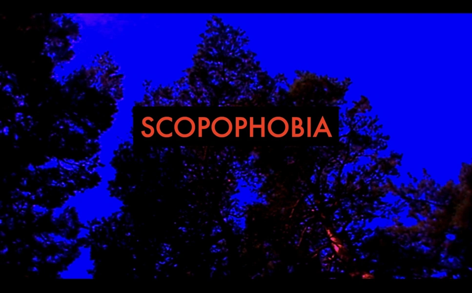 Scopophobia
