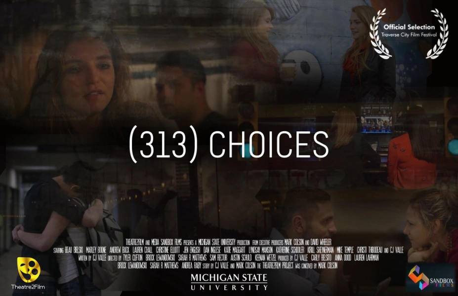 (313) Choices