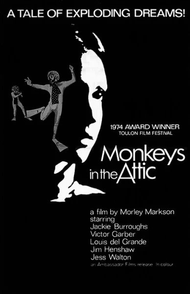 Monkeys in the Attic