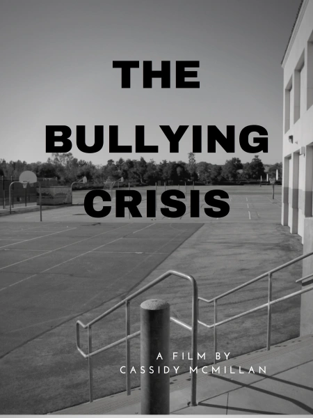 The Bullying Crisis