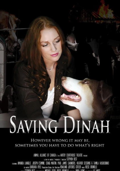 Saving Dinah