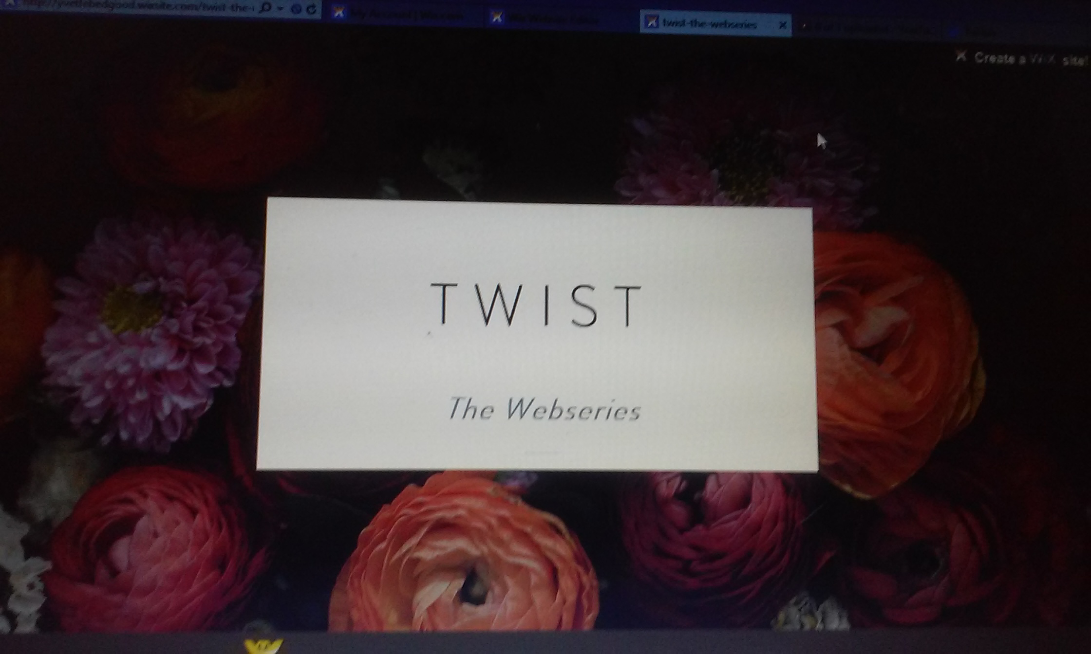 Twist the Web Series