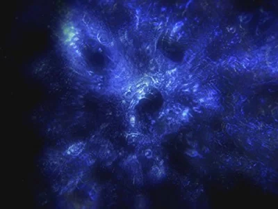 The Dark Matter Enigma