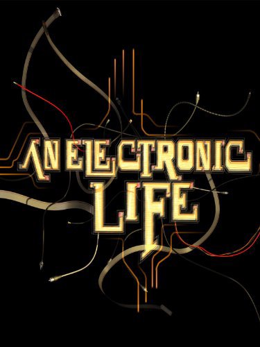 An Electronic Life