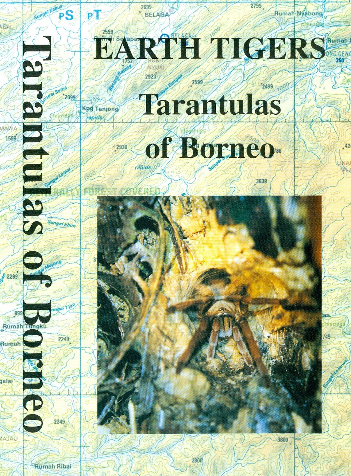 Earth Tigers - Tarantulas of Borneo