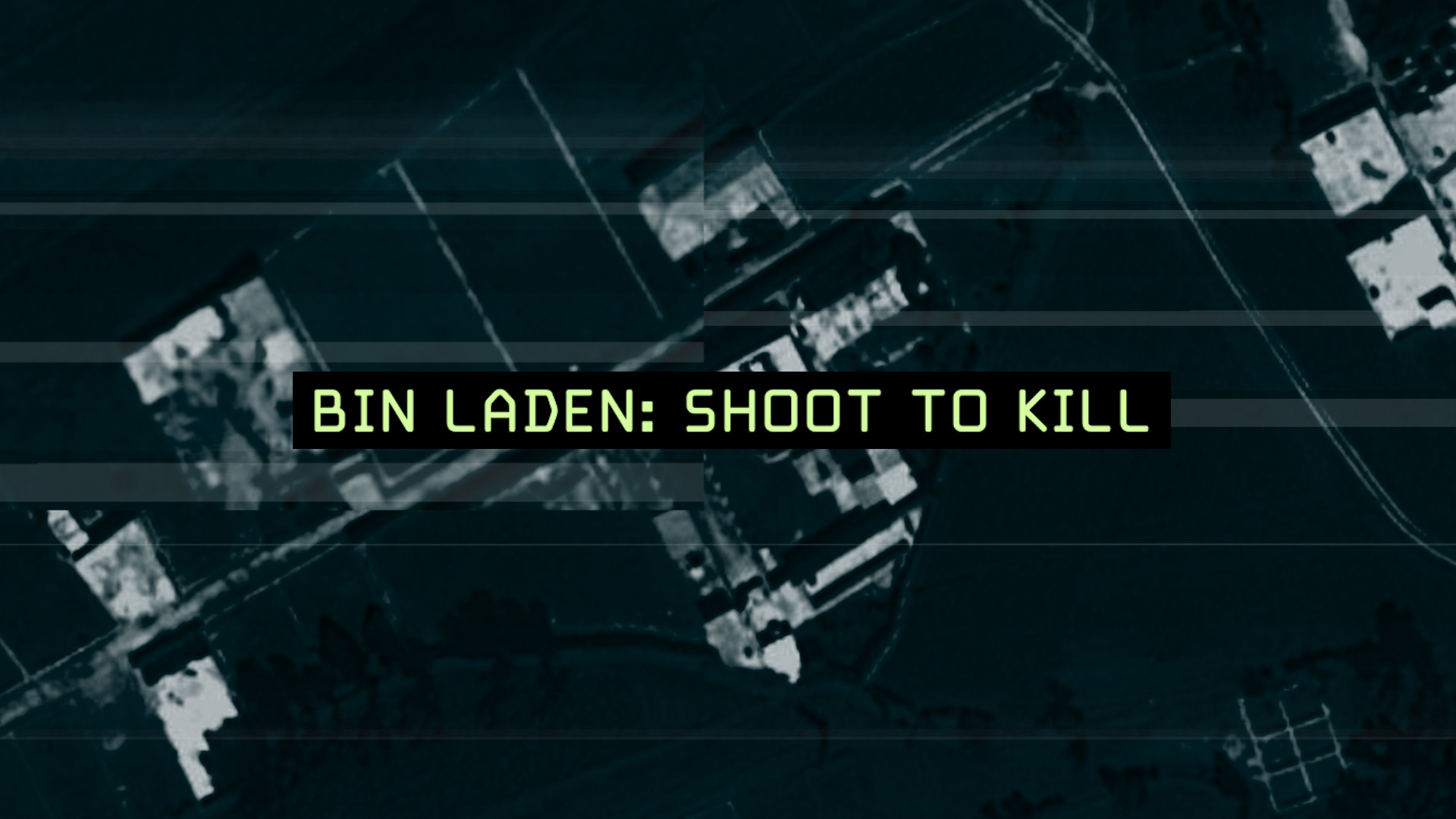 Bin Laden: Shoot to Kill