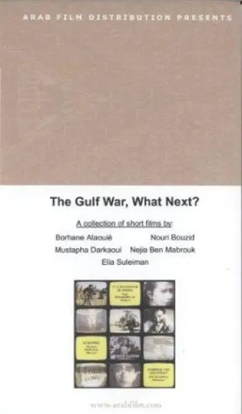 The Gulf War... What Next?