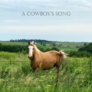 A Cowboy's Song