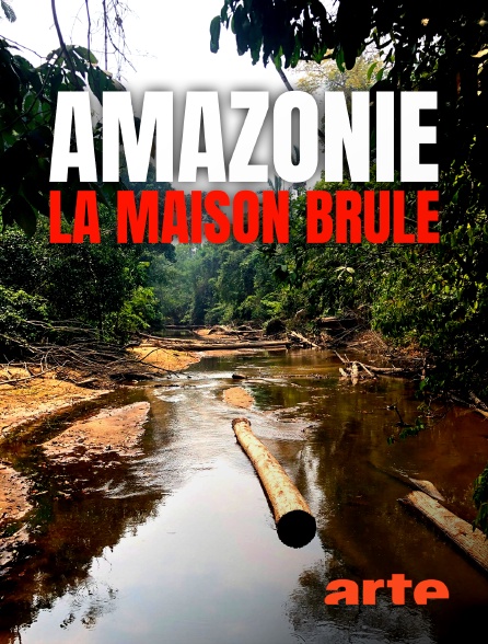 S.O.S. Amazonas: Apokalypse im Regenwald