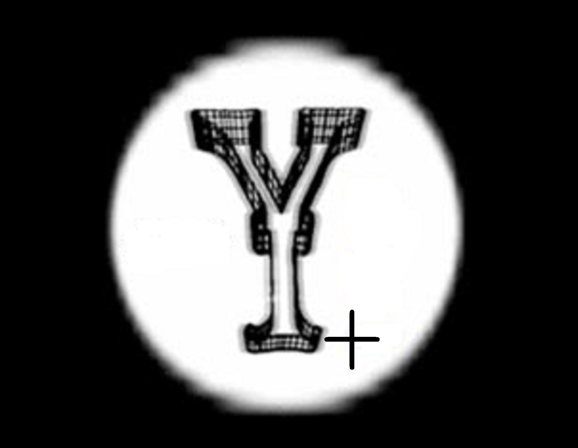 Y+