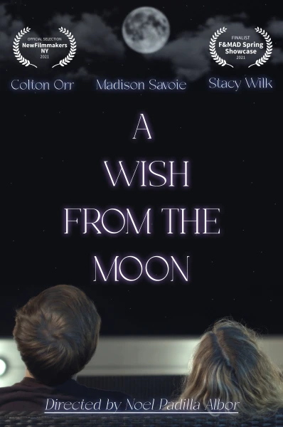 A Wish from the Moon