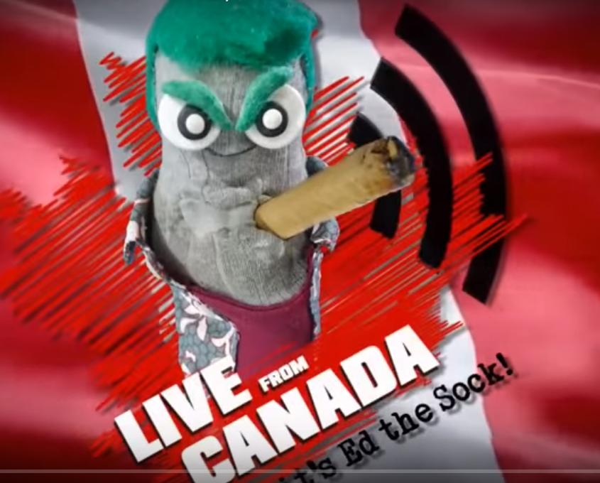 Live from Canada, It's Ed the Sock