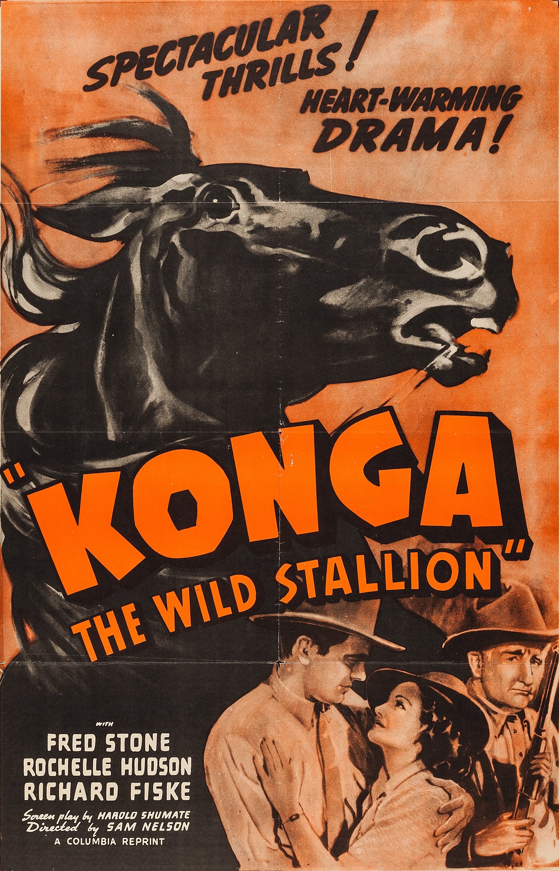 Konga, the Wild Stallion