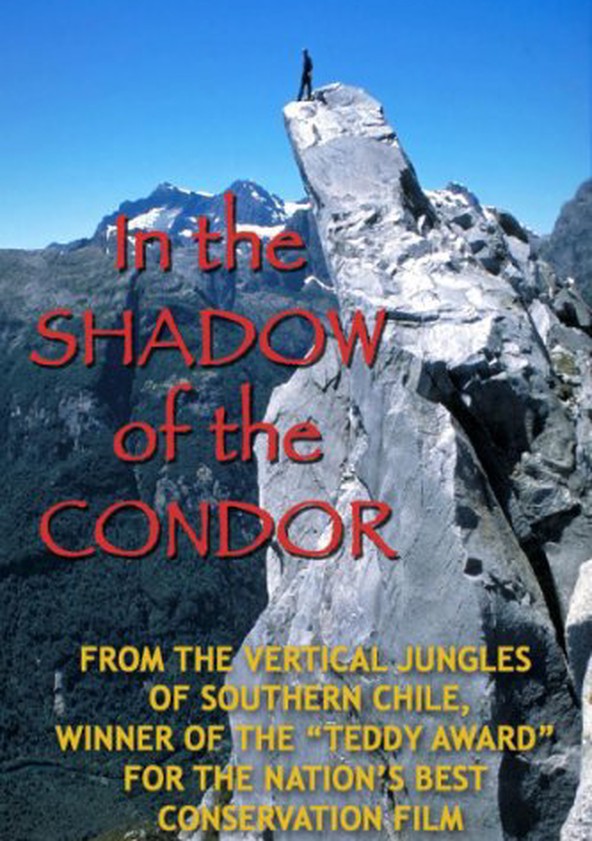 In the Shadow of the Condor