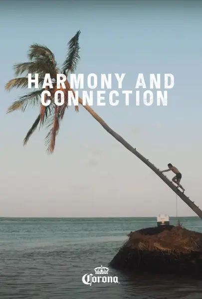 Harmony and Connection