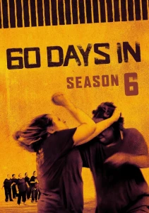 Season 6