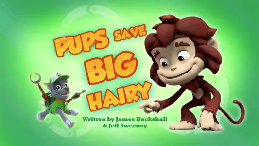 Sea Patrol: Pups Save a Frozen Flounder/Sea Patrol: Pups Save a Narwhal