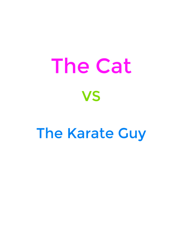 The Cat Vs The Karate Guy