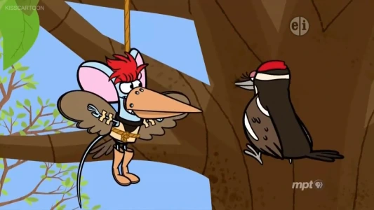 Woodpecker Picks a Place/Here Comes the Sun