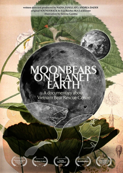 Moonbears on Planet Earth